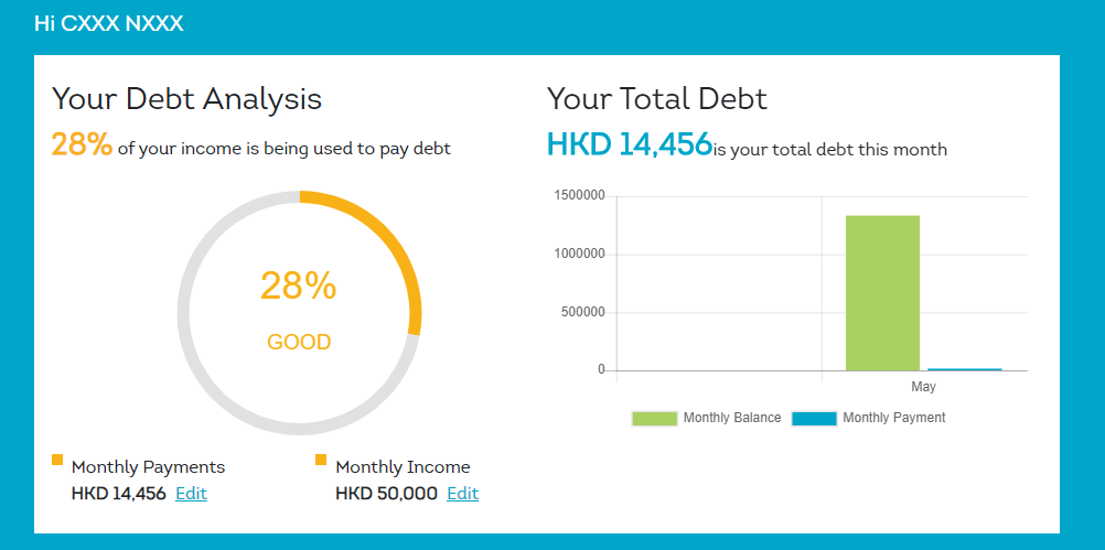 debt analysis chart